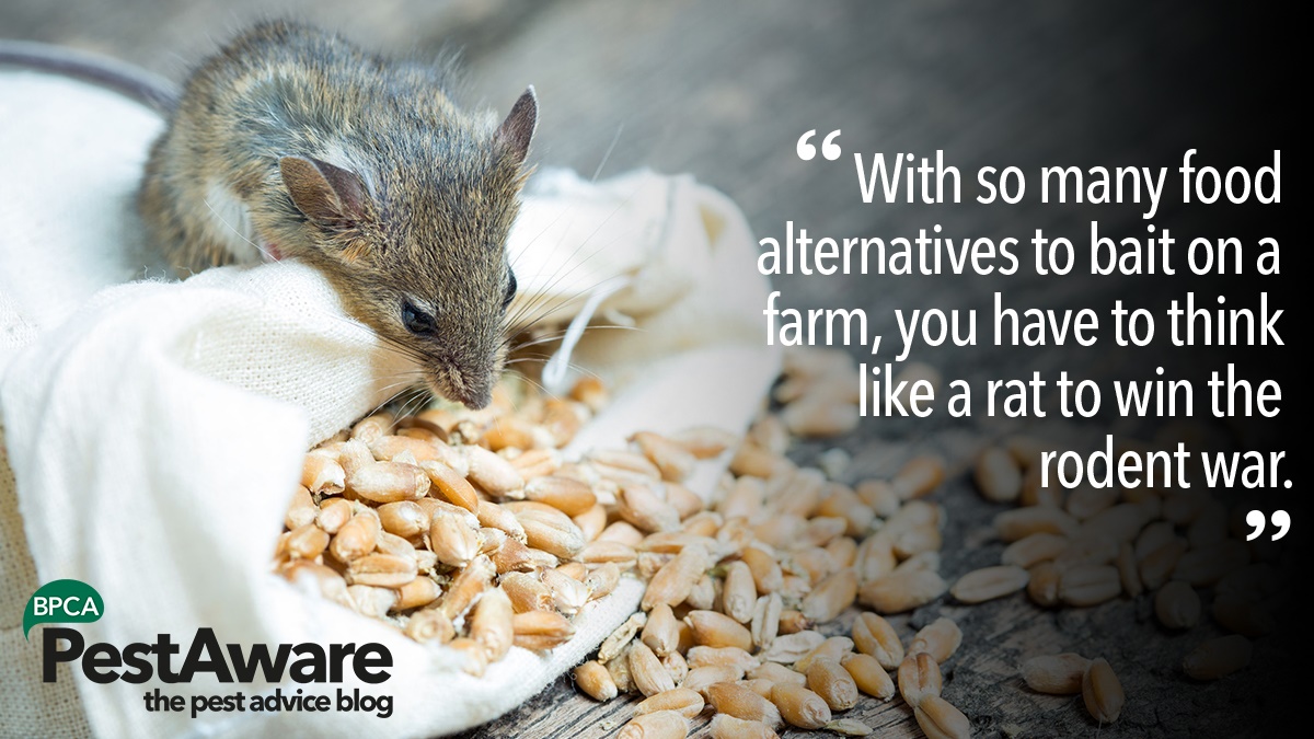 Pests on farms and grain stores Pests on farms and grain stores